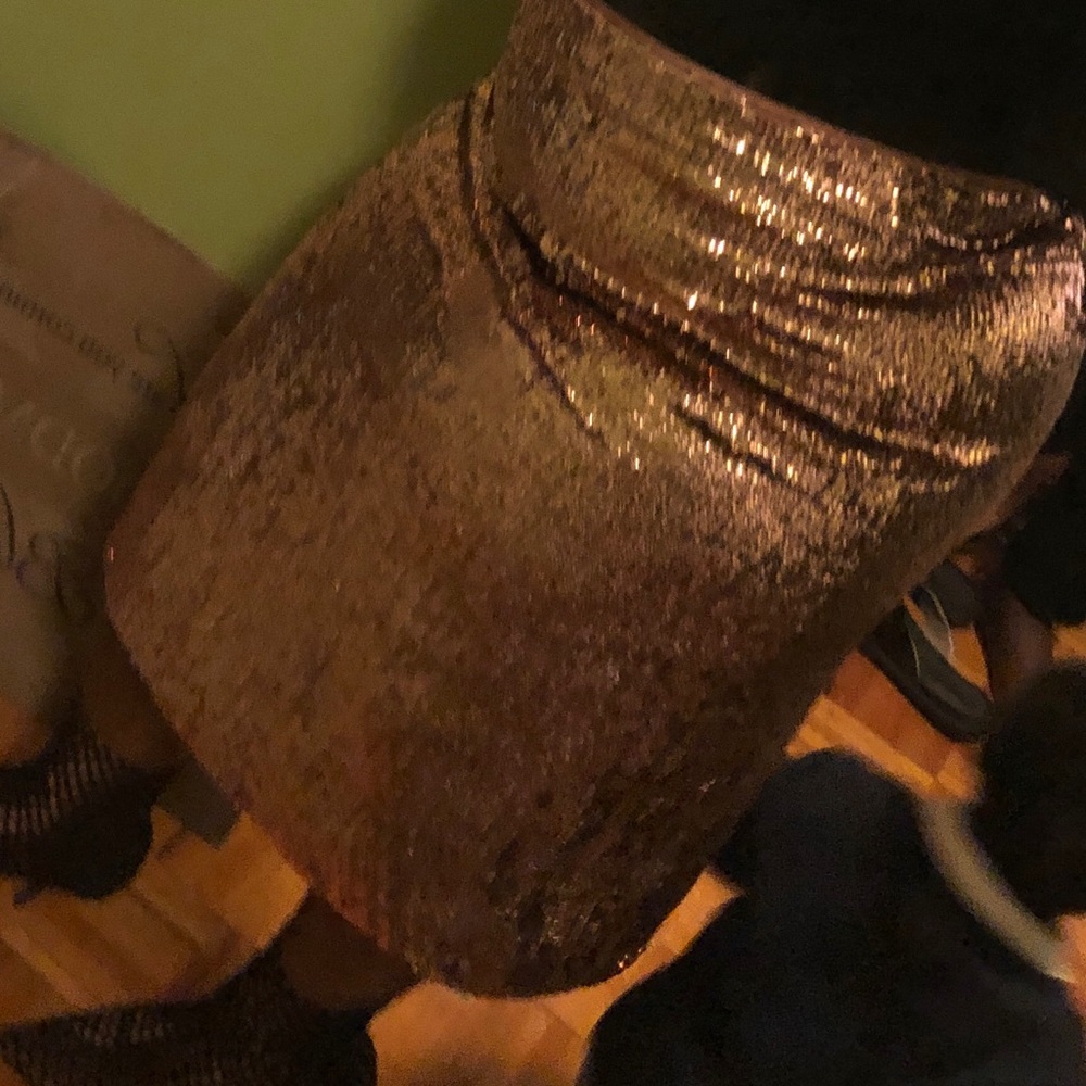 Jcrew Sequins skirt